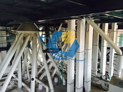 猪饲料成套工程(图2)