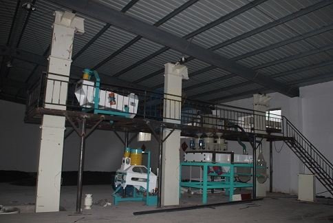 牡丹籽清理设备