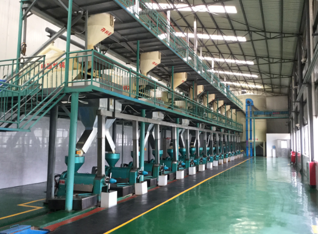 浓香型菜籽油加工设备 河南贝斯德提供适配生产方案